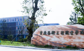 重庆艺术工程职业学院2023年专科招生简章（含报考条件、录取规则）