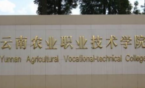 云南农业职业技术学院最低录取分数线是多少2023？附文理科最低分及位次